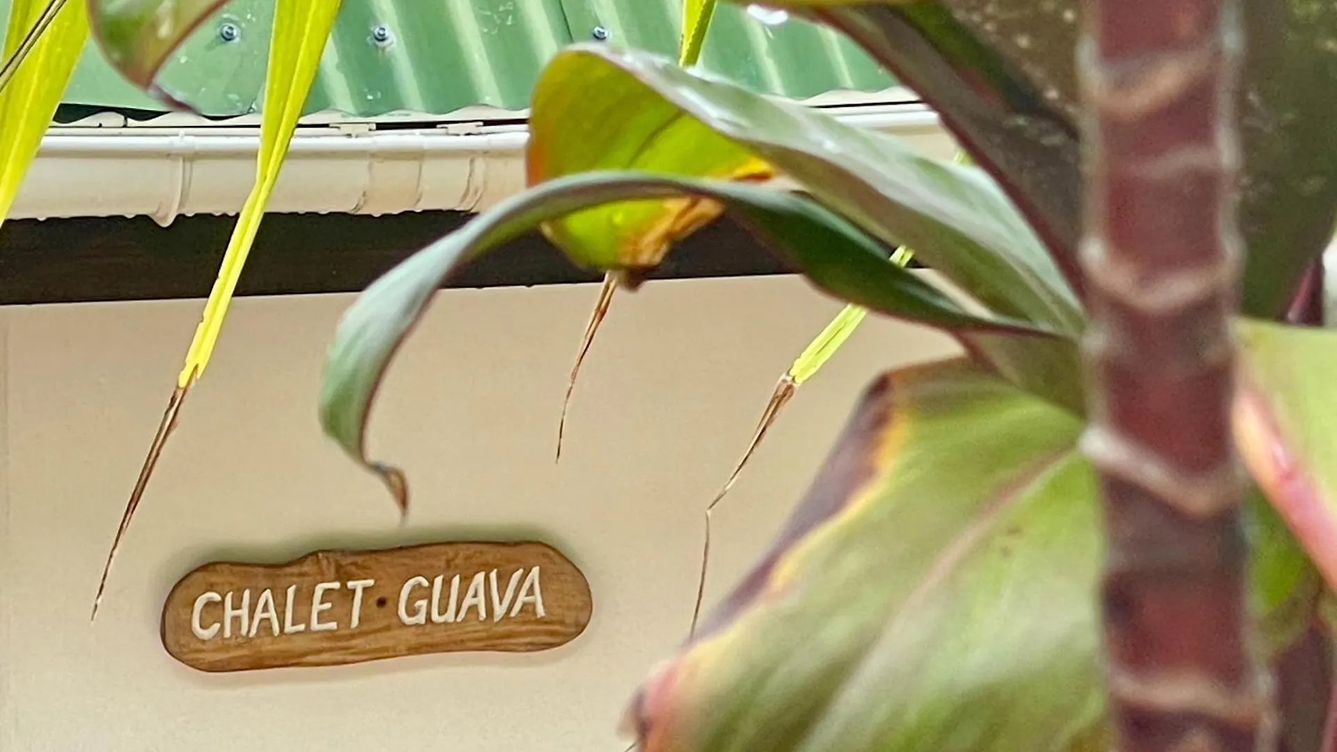 Chalets Bougainville Takamaka Seychelles
